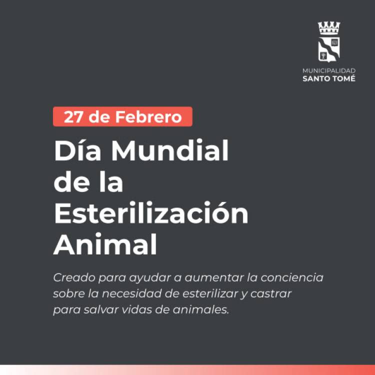 Día Mundial de la Esterilización Animal: la Municipalidad recuerda los beneficios de esta práctica quirúrgica