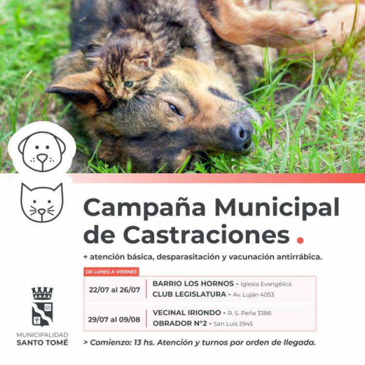 La Campaña Municipal de Castraciones sigue recorriendo la ciudad