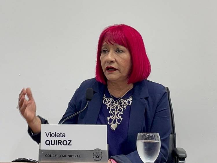 Violeta Quiroz: “La tercerización del mantenimiento de luminarias necesita un análisis exhaustivo y responsable”